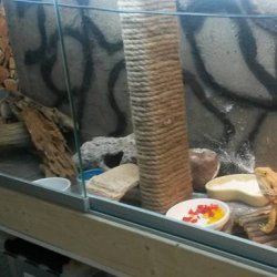 liukuluukku terraarion etusein�n�